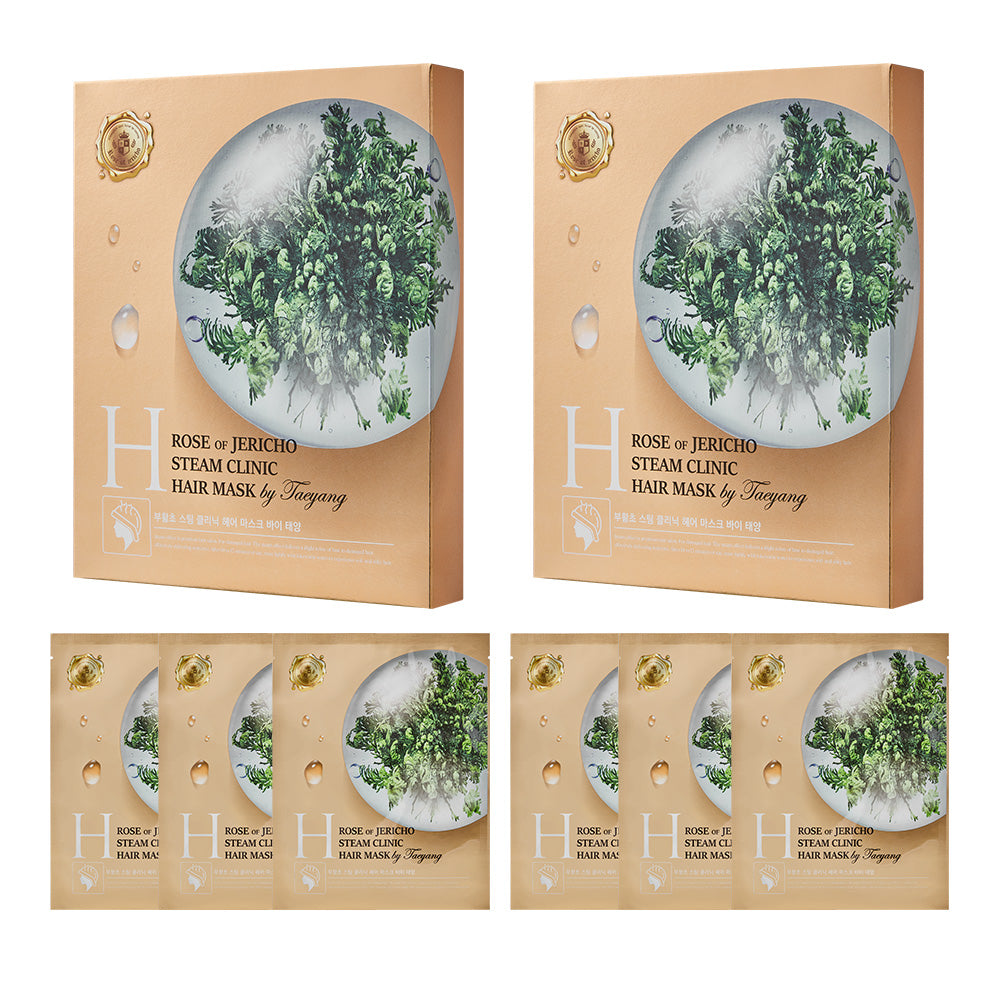 チョンダムスタイル フォレスト スチームヘアマスク 2箱セット